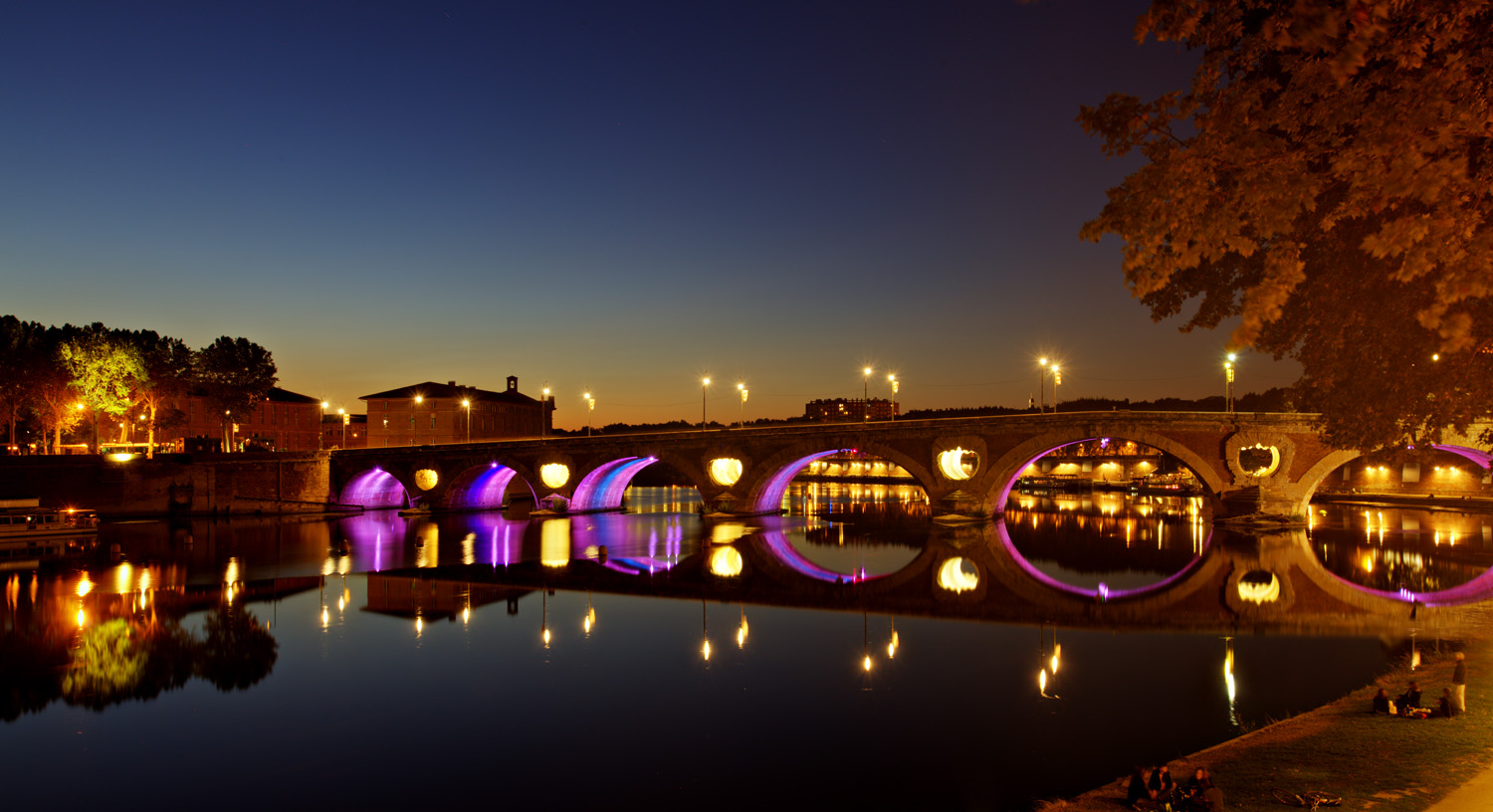 Toulouse pont neuf sat 31